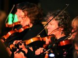 SF Scottish Fiddlers